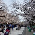 レス235番の画像サムネイル