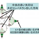 レス1番の画像サムネイル