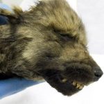 レス4番の画像サムネイル