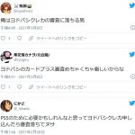 レス1番の画像サムネイル