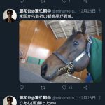 レス31番の画像サムネイル