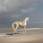 レス28番の画像サムネイル