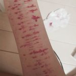 レス1番の画像サムネイル