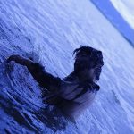 レス32番の画像サムネイル