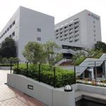 レス15番のサムネイル画像