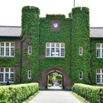 レス15番のサムネイル画像