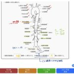 レス29番のサムネイル画像