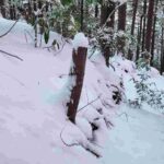 レス27番の画像1