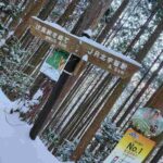 レス19番の画像1