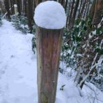 レス17番の画像1