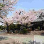 レス13番の画像1