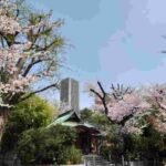 レス18番の画像1