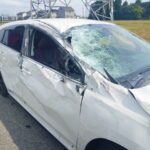 レス25番の画像2