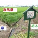 レス27番の画像1