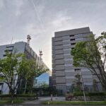 レス1番のリンク先のサムネイル画像