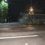 レス1番のリンク先のサムネイル画像