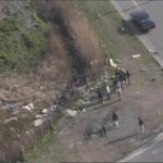 レス2番のリンク先のサムネイル画像