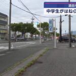 レス1番のリンク先のサムネイル画像