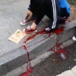 レス3番の画像1