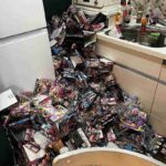 レス1番のリンク先のサムネイル画像