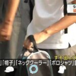 レス1番のリンク先のサムネイル画像