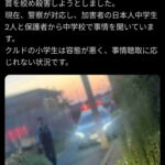 レス2番の画像1