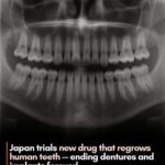 レス3番の画像1