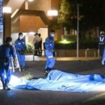 レス13番の画像5