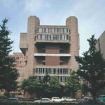 レス22番の画像3