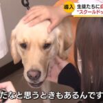 レス1番の画像3