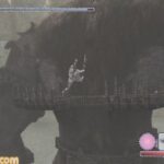 レス1番の画像2