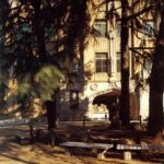 レス22番の画像6