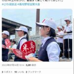 レス24番の画像1