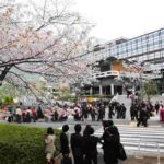 レス18番の画像3