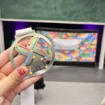 レス24番の画像2