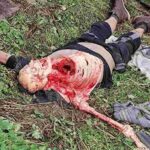 レス12番の画像1