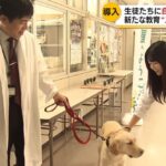 レス1番の画像6