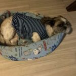 レス46番の画像1