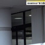 レス1番のリンク先のサムネイル画像