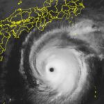 レス5番の画像3