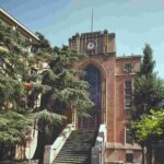 レス22番の画像5