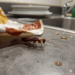 レス24番の画像1