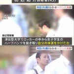 レス3番の画像1