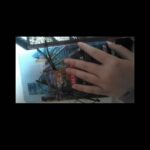 レス15番の画像1