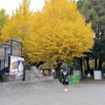 レス1番の画像7