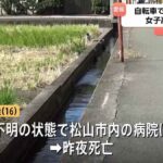 レス1番のリンク先のサムネイル画像