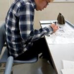 レス2番の画像1