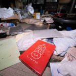 レス1番の画像6