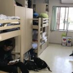 レス1番のリンク先のサムネイル画像