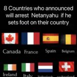 レス2番の画像1